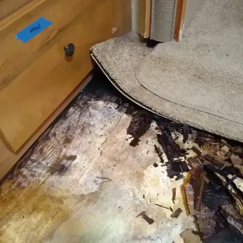 Wood Floor Water Damage in Kearney, NE